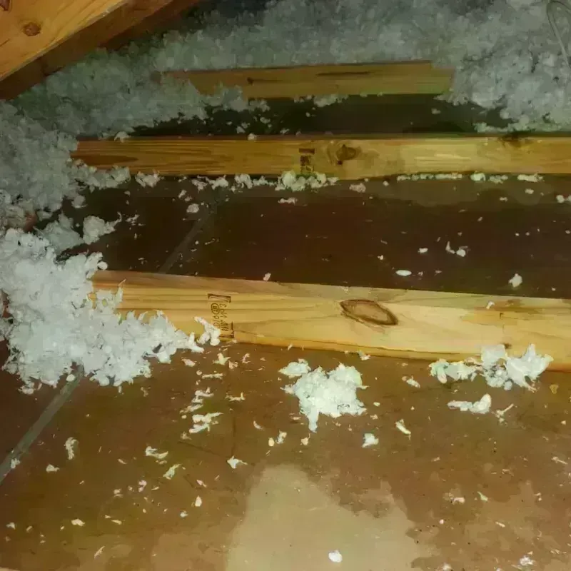 Attic Water Damage in Kittitas, WA