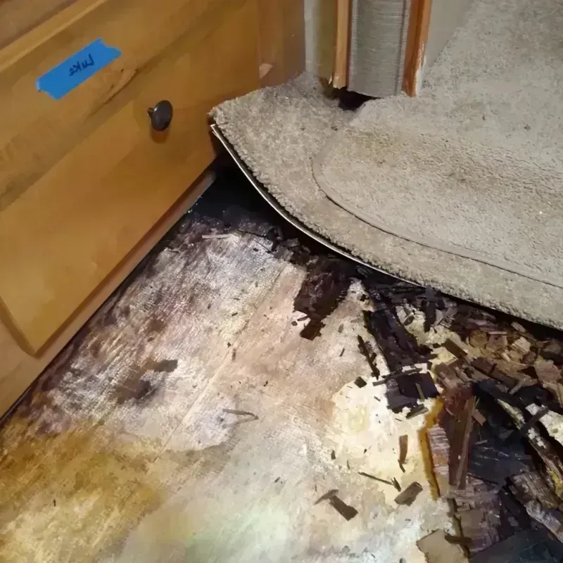 Best Wood Floor Water Damage Service in Kittitas, WA